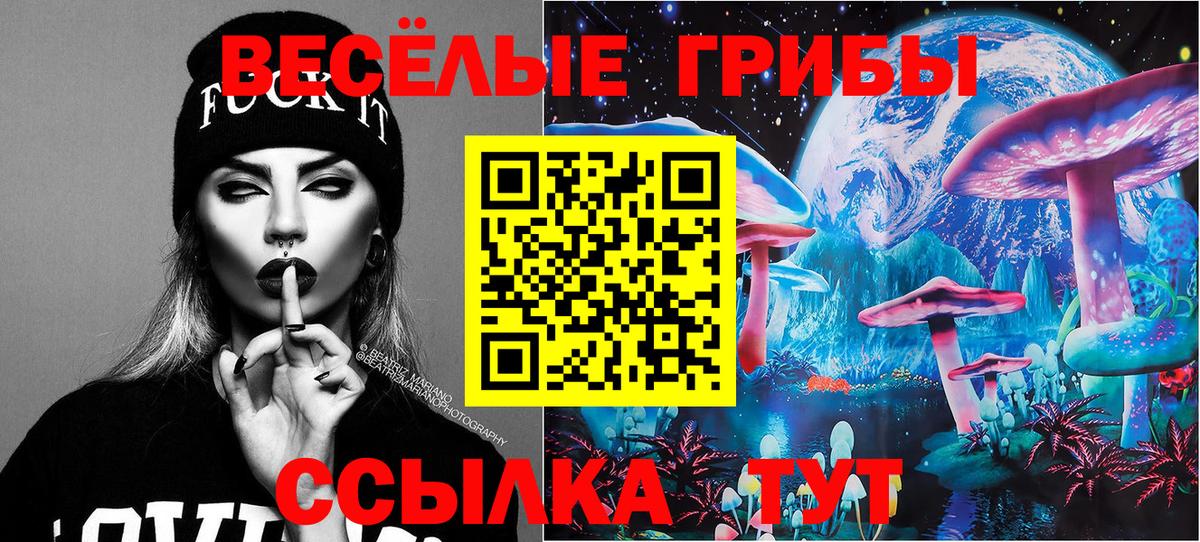 Псилоцибиновые грибы Cubensis Петропавловск-Камчатский